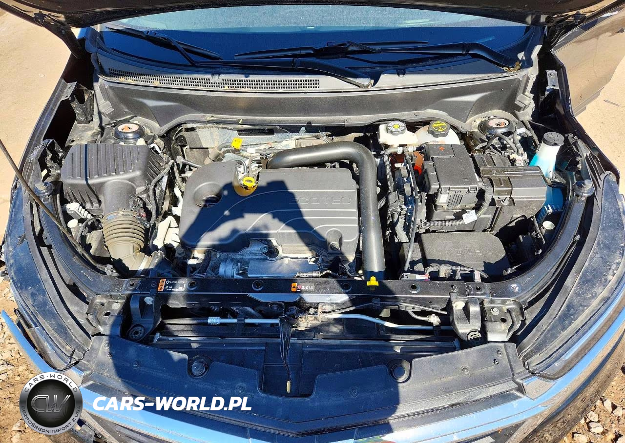 2024 Chevrolet Equinox Lt VIN:3GNAXTEG6RL216806 - 12