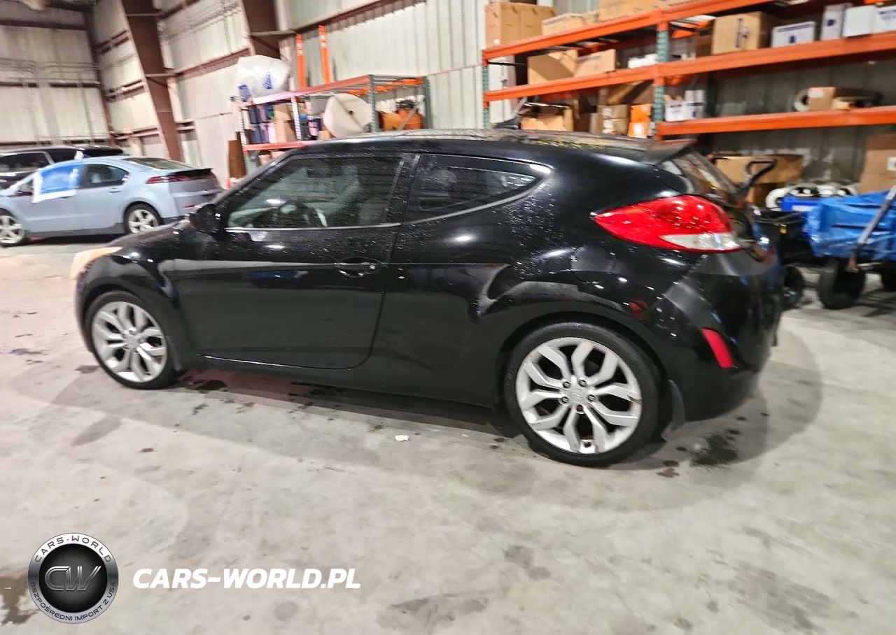 2013 Hyundai Veloster Base VIN:KMHTC6AD6DU130920 - 2