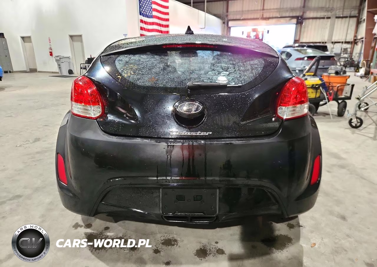 2013 Hyundai Veloster Base VIN:KMHTC6AD6DU130920 - 6