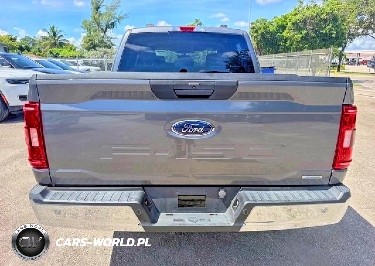 2023 Ford F150 Supercrew VIN:1FTEW1C86PKD23334 - 6