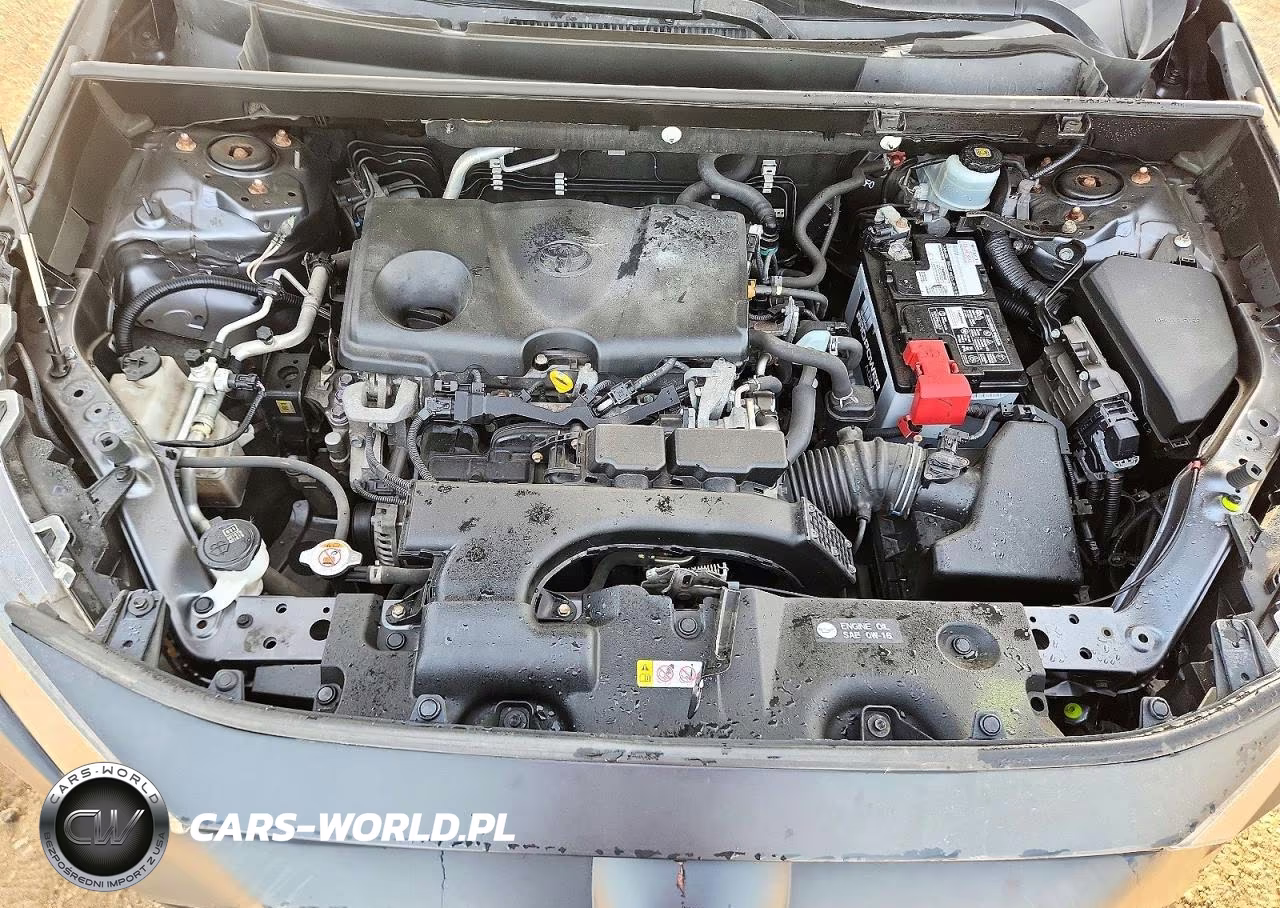 2019 Toyota Rav4 Le VIN:JTMG1RFV4KD033694 - 11