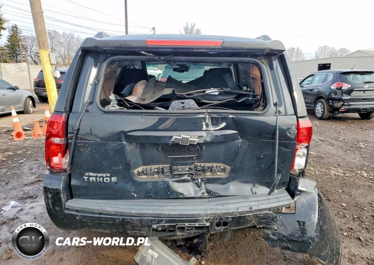 2019 Chevrolet Tahoe K1500 Lt VIN:1GNSKBKC1KR183744 - 6