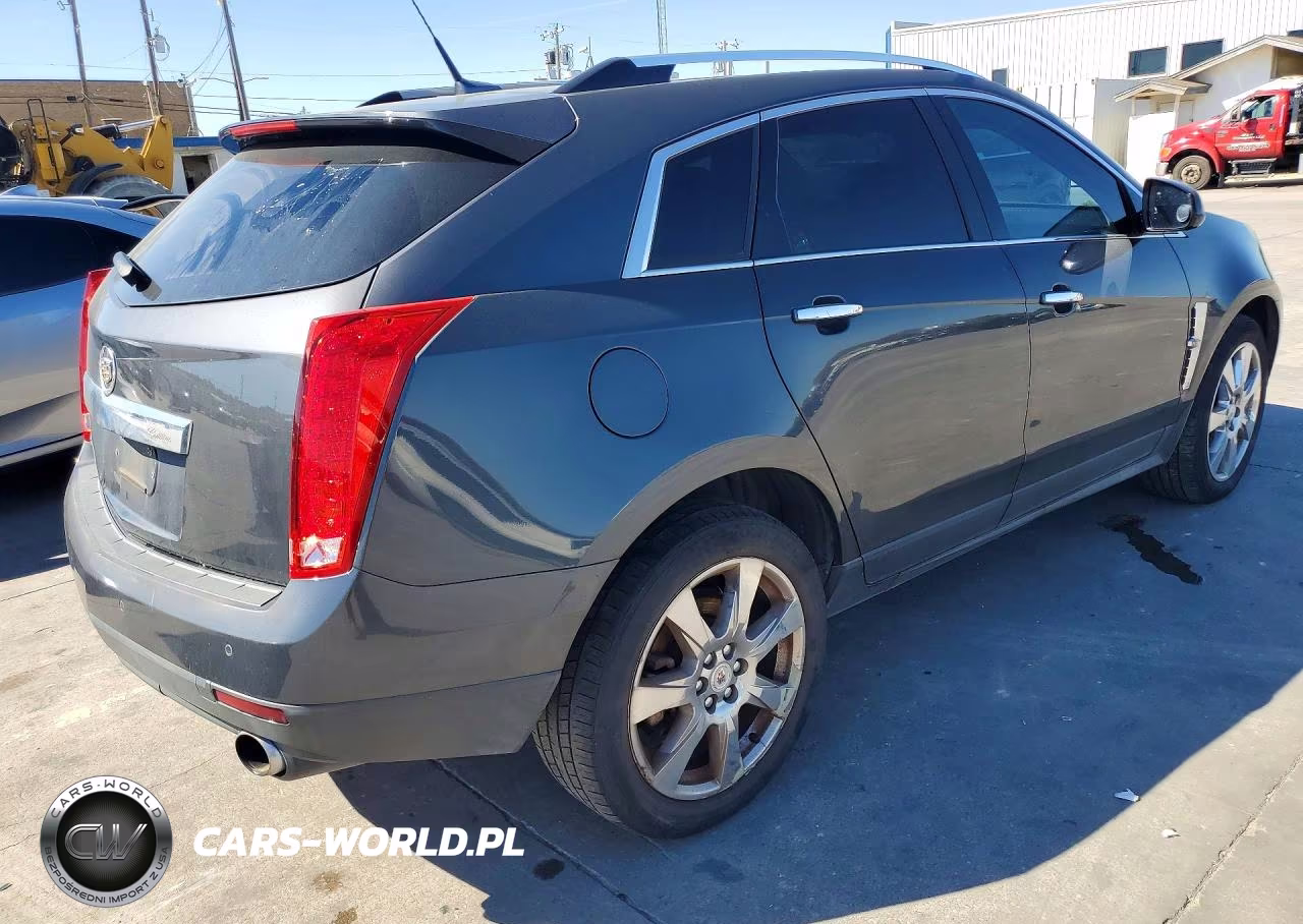 2010 Cadillac Srx Performance Collection VIN:3GYFNBEY2AS651592 - 3