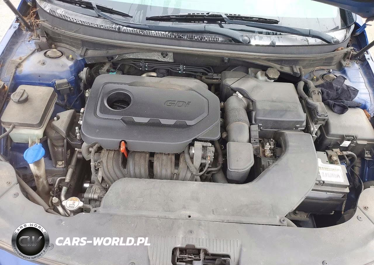 2015 Hyundai Sonata Se VIN:5NPE24AF0FH170073 - 11