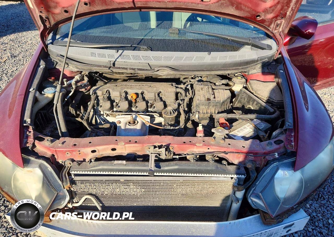 2010 Honda Civic Lx VIN:19XFA1F54AE043894 - 11