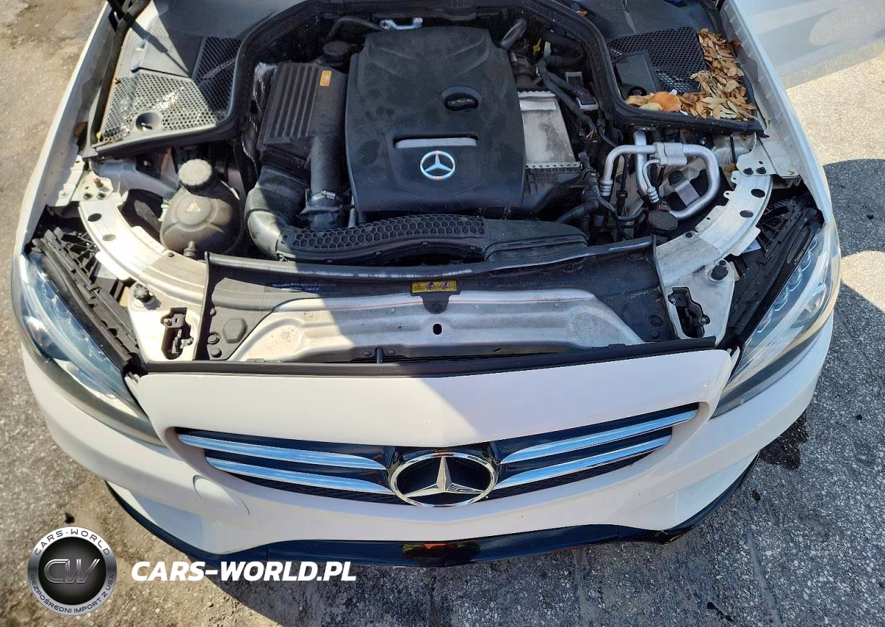 2017 Mercedes-Benz C 300 VIN:55SWF4JB2HU198656 - 11