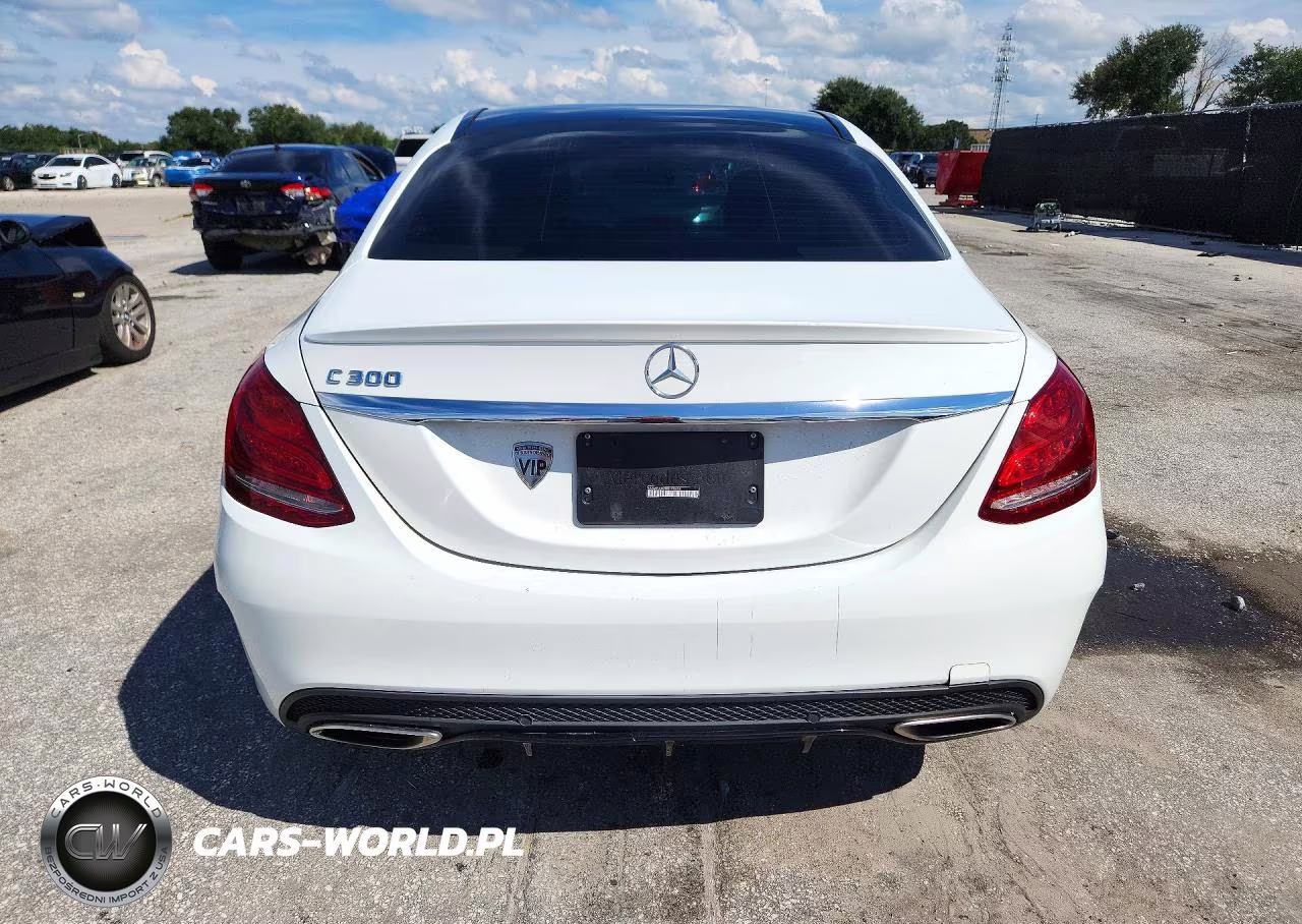 2017 Mercedes-Benz C 300 VIN:55SWF4JB2HU198656 - 6