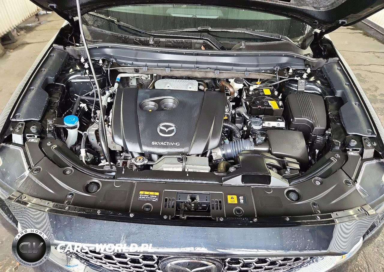 2025 Mazda Cx-5 Preferred VIN:JM3KFBCLXS0670481 - 12