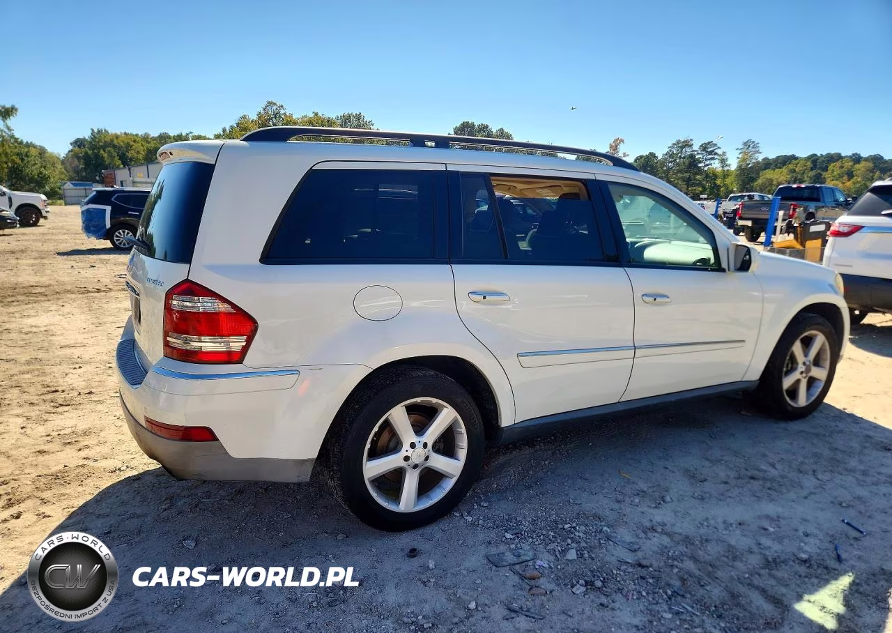 2009 Mercedes-Benz Gl VIN:4JGBF25E39A480660 - 3