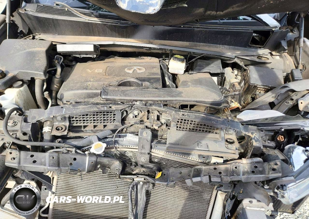 2019 Infiniti Qx60 Luxe VIN:5N1DL0MN6KC503351 - 12