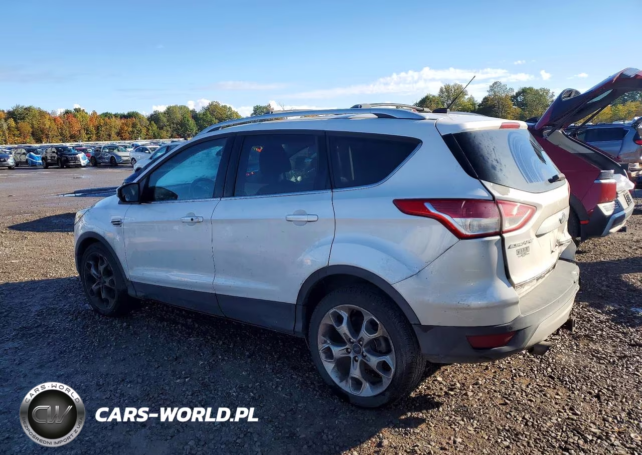2015 Ford Escape Titanium VIN:1FMCU0J92FUA66156 - 2