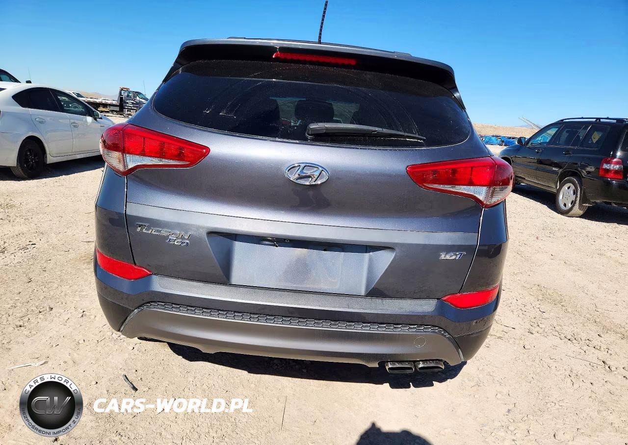 2016 Hyundai Tucson Eco VIN:KM8J33A29GU194751 - 6
