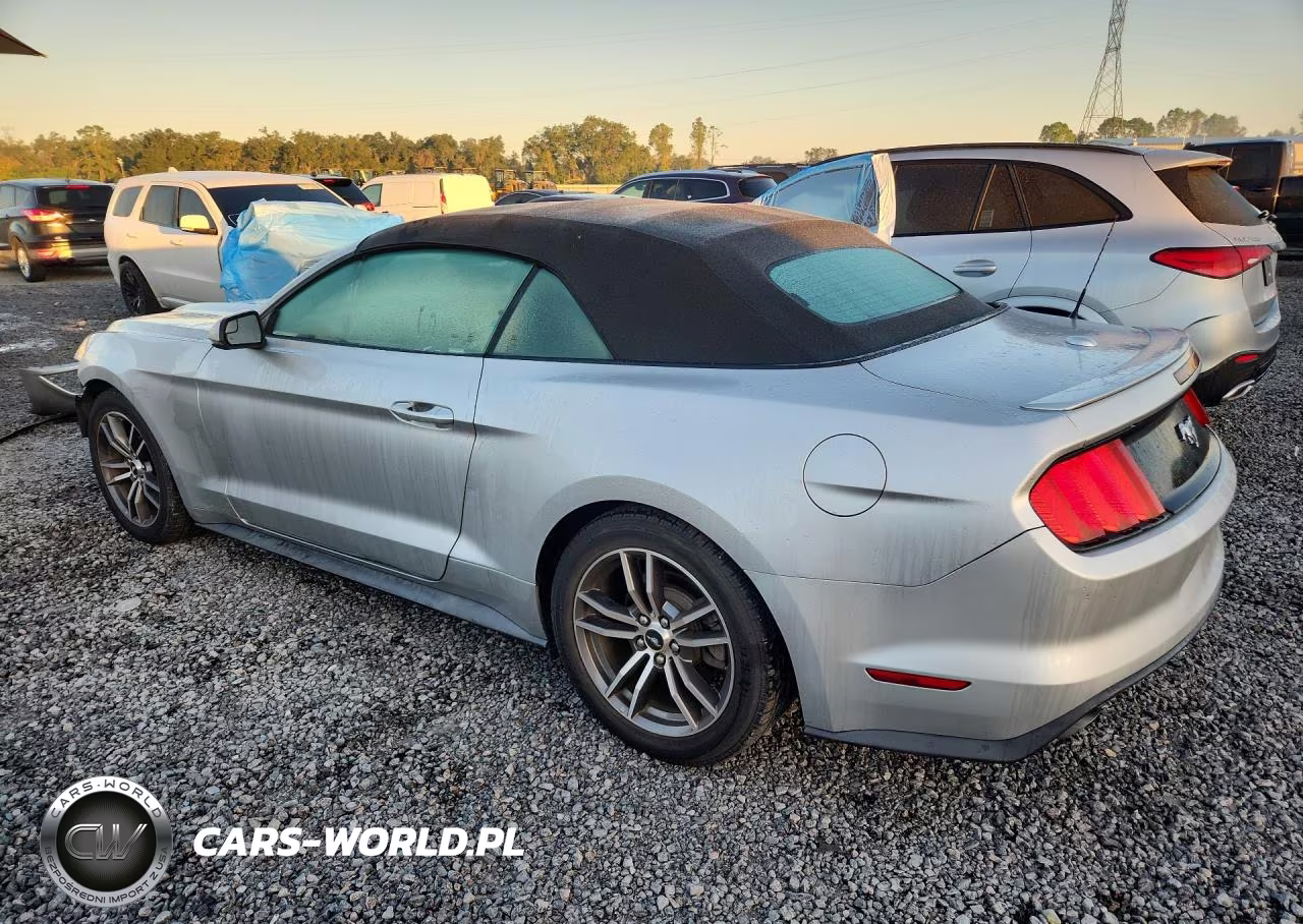 2017 Ford Mustang VIN:1FATP8UHXH5307445 - 2