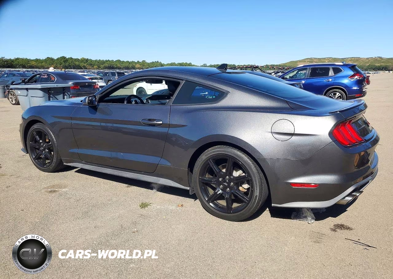 2020 Ford Mustang VIN:1FA6P8TH3L5180173 - 2