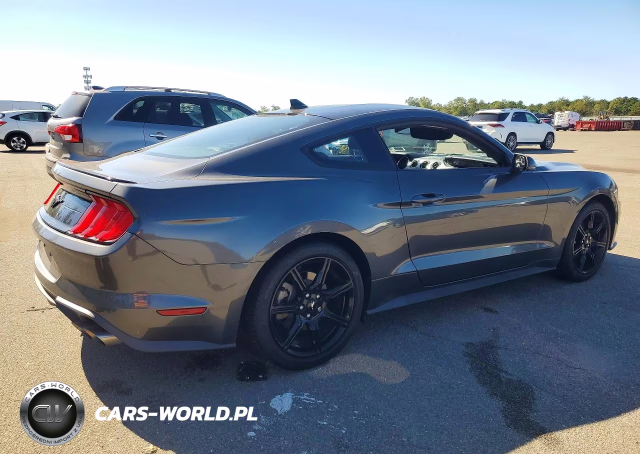 2020 Ford Mustang VIN:1FA6P8TH3L5180173 - 3