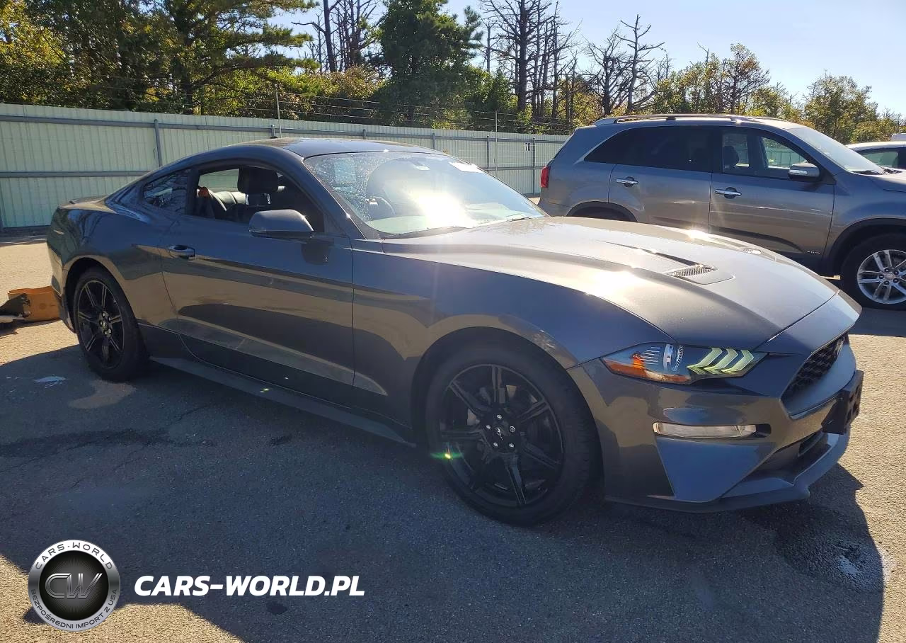 2020 Ford Mustang VIN:1FA6P8TH3L5180173 - 4
