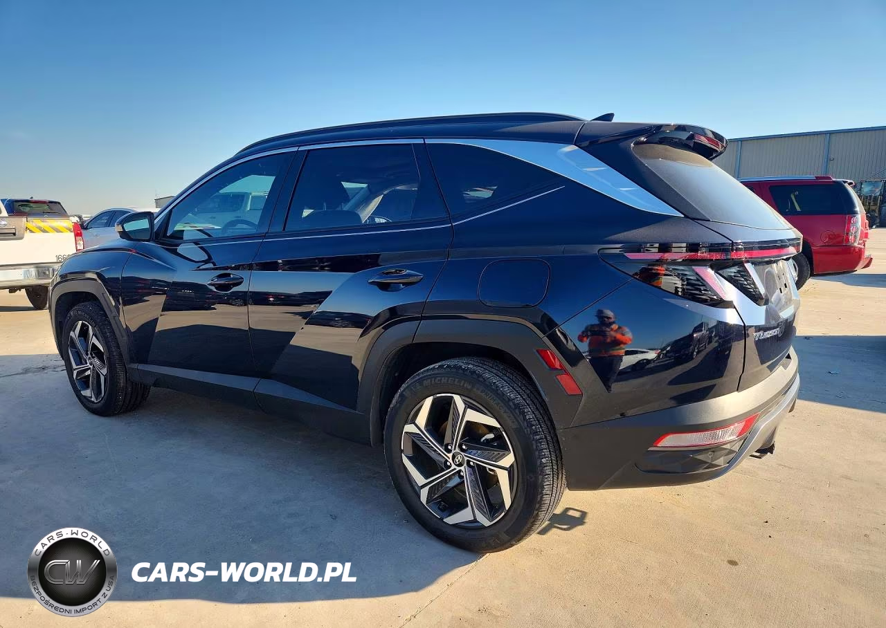 2024 Hyundai Tucson Limited VIN:KM8JECD18RU245625 - 2