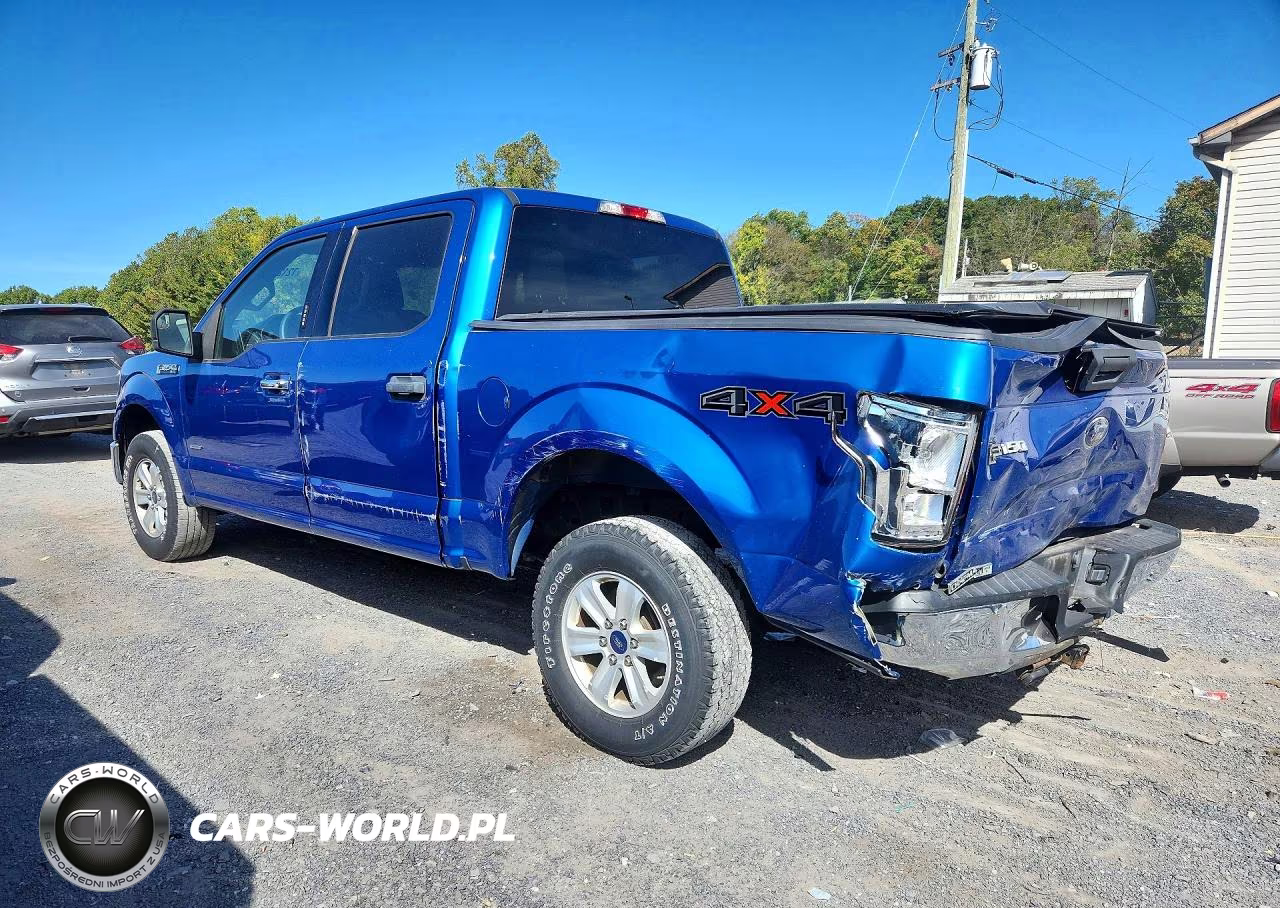 2016 Ford F150 Supercrew VIN:1FTEW1EG9GFA17855 - 2