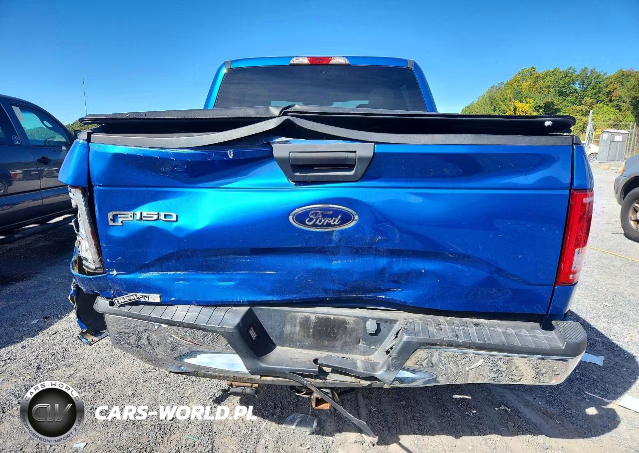 2016 Ford F150 Supercrew VIN:1FTEW1EG9GFA17855 - 6