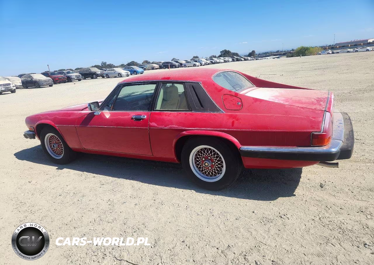 1989 Jaguar Xjs Rouge (Special Edition) VIN:SAJTA584XKC163806 - 2