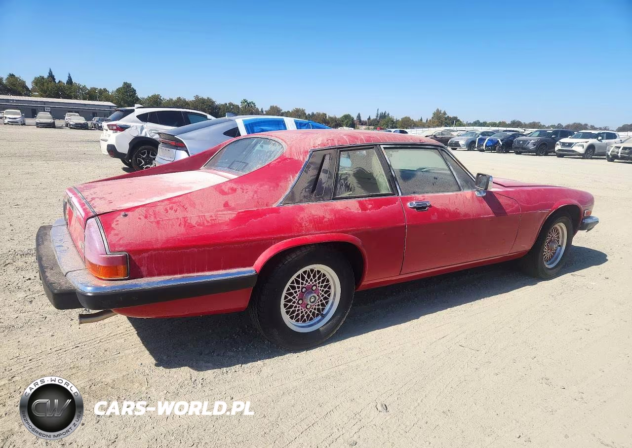 1989 Jaguar Xjs Rouge (Special Edition) VIN:SAJTA584XKC163806 - 3