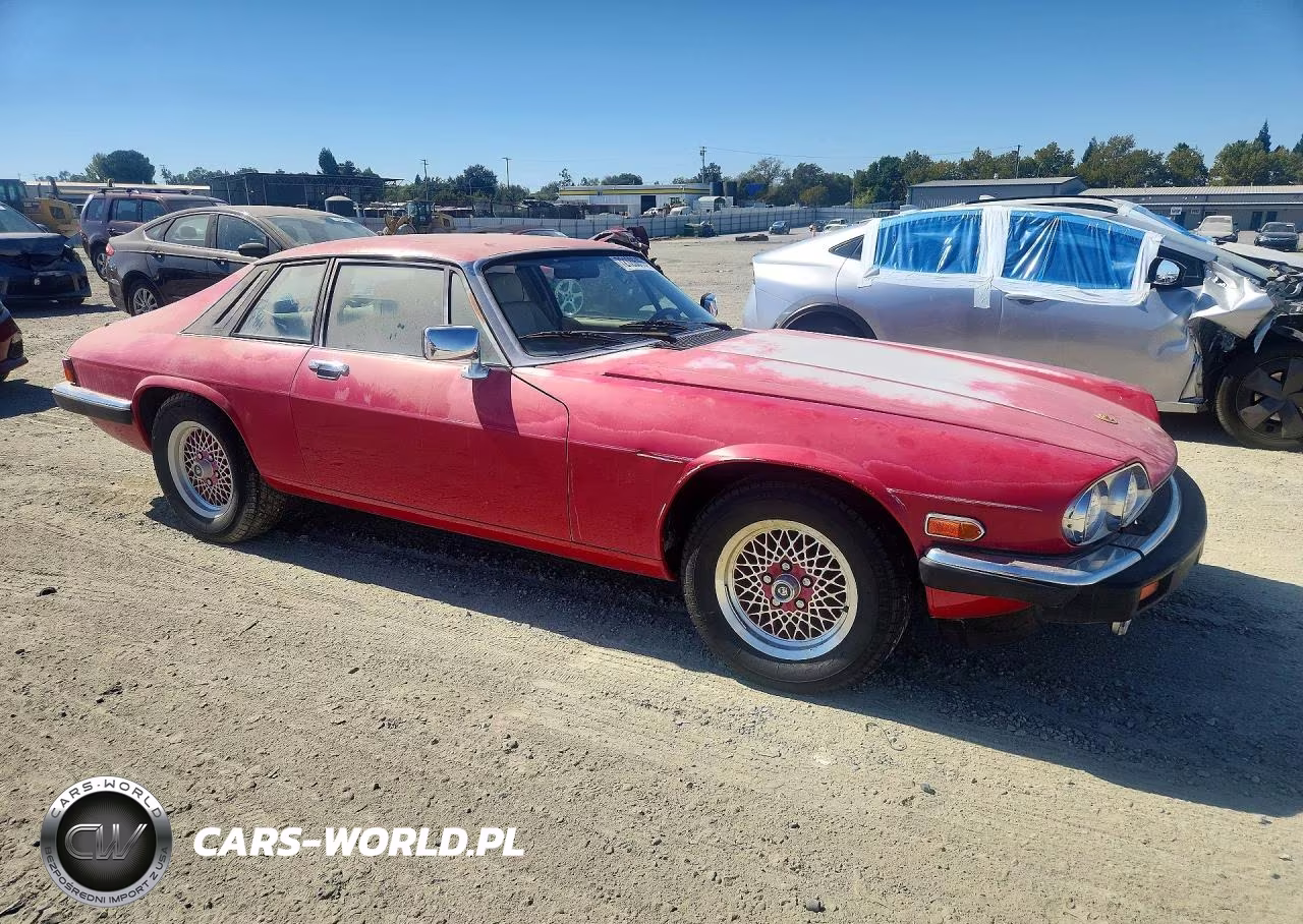 1989 Jaguar Xjs Rouge (Special Edition) VIN:SAJTA584XKC163806 - 4