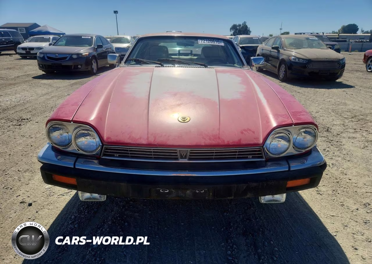 1989 Jaguar Xjs Rouge (Special Edition) VIN:SAJTA584XKC163806 - 5