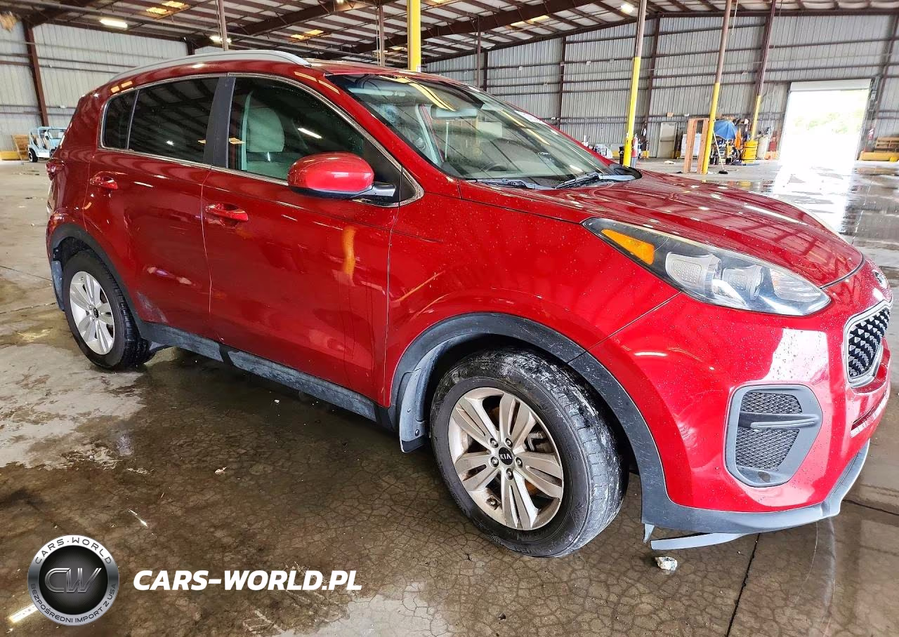 2019 Kia Sportage Lx VIN:KNDPM3AC1K7491640 - 4