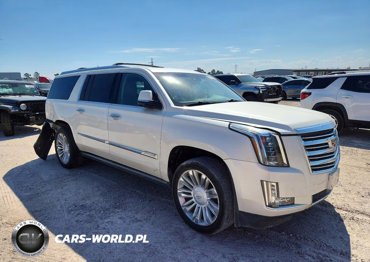 2015 Cadillac Escalade Esv Platinum VIN:1GYS4UKJ2FR737970 - 4