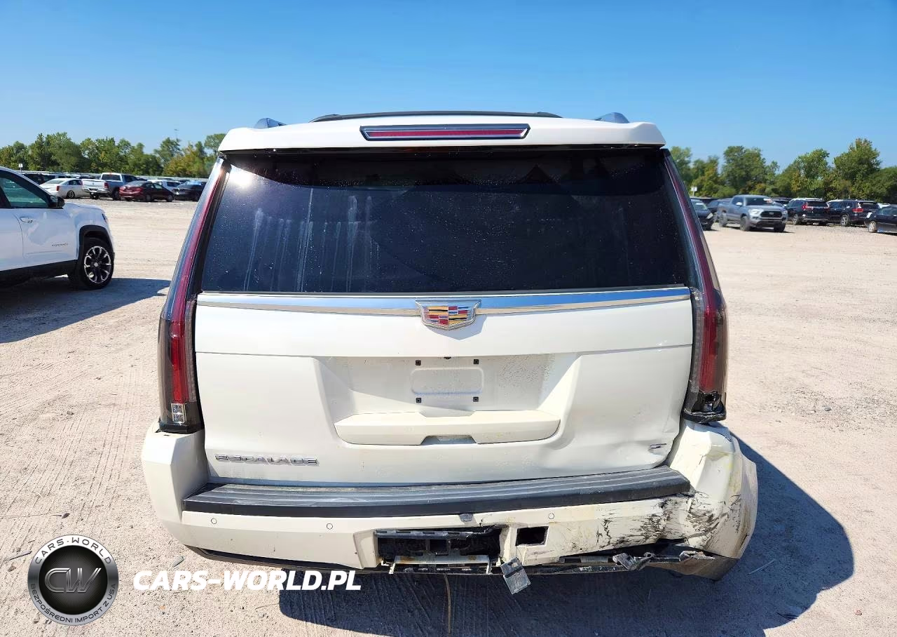 2015 Cadillac Escalade Esv Platinum VIN:1GYS4UKJ2FR737970 - 6