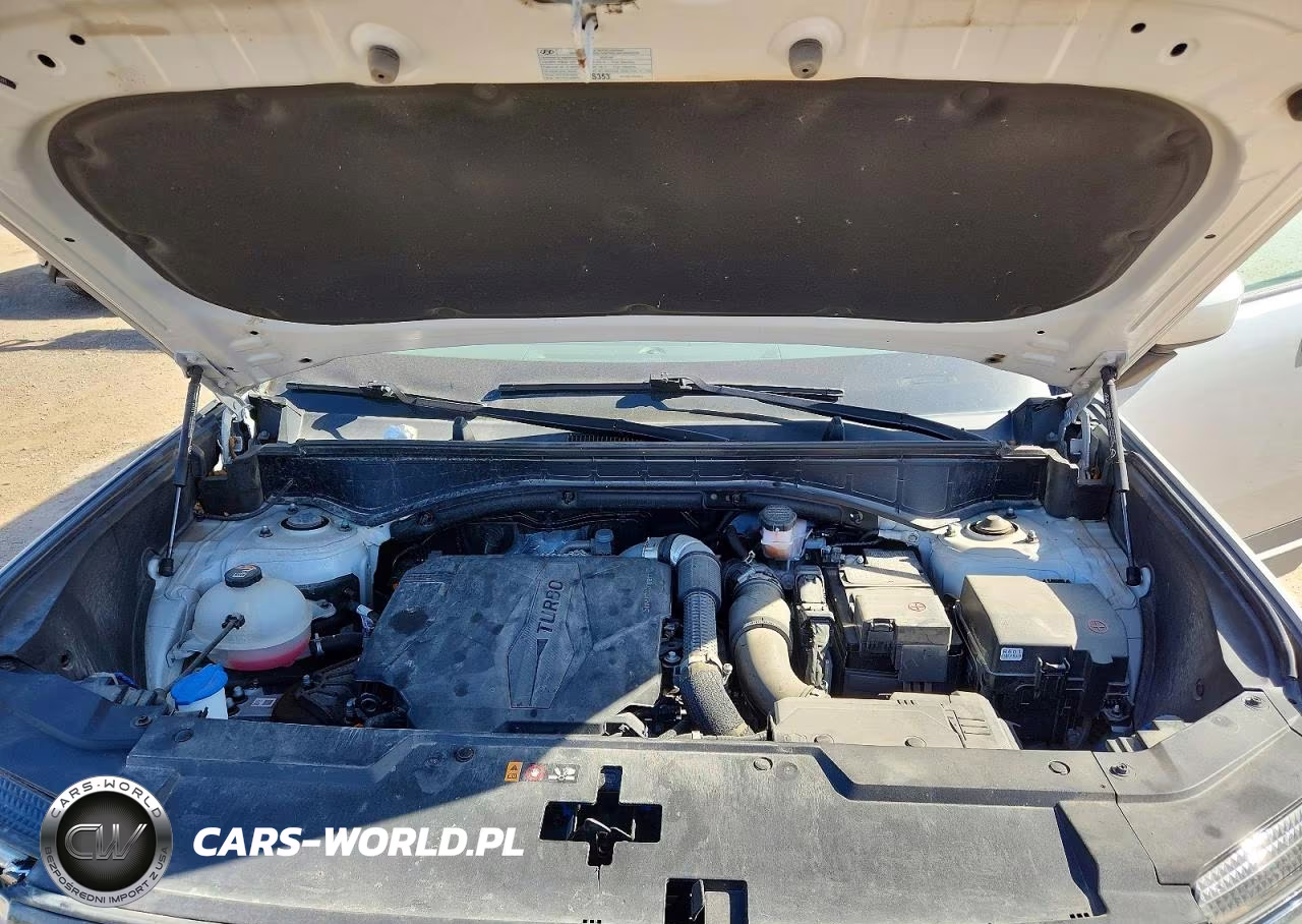 2025 Hyundai Santa Fe Sel VIN:5NMP2DGL9SH072205 - 12