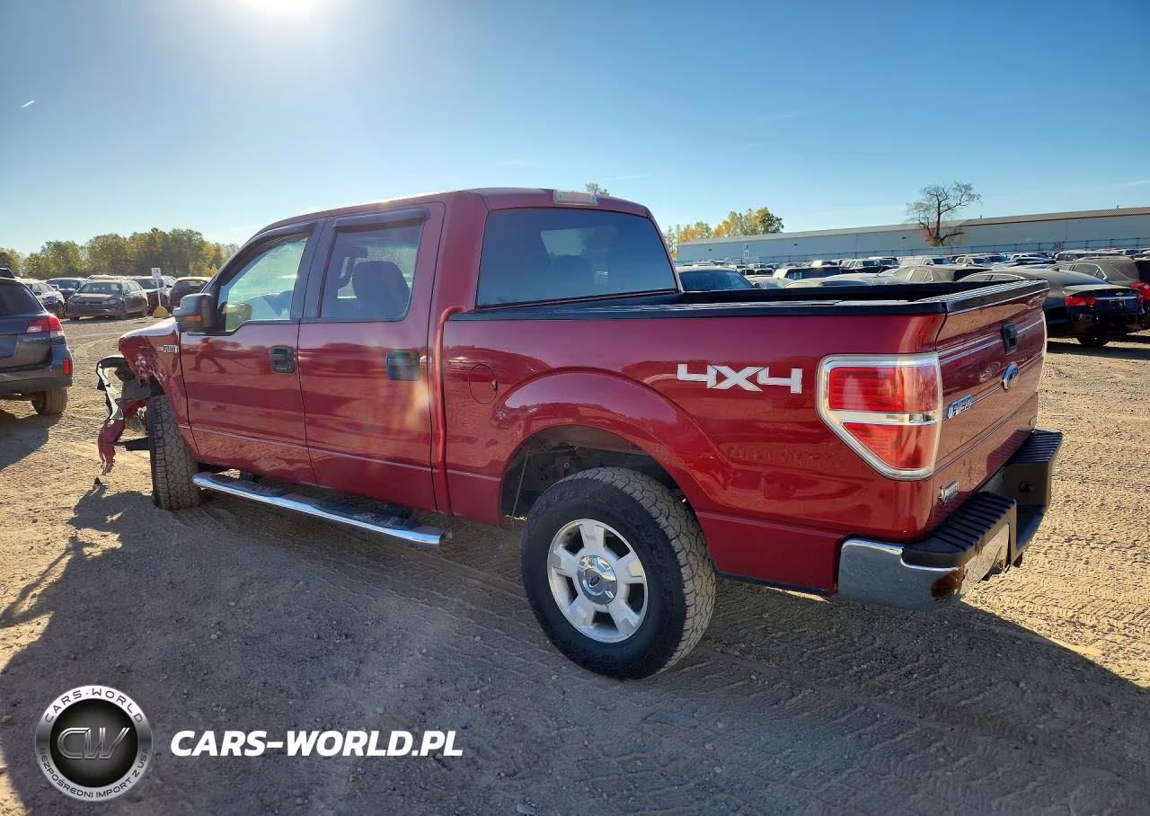 2011 Ford F150 Supercrew VIN:1FTFW1EF3BFC49291 - 2