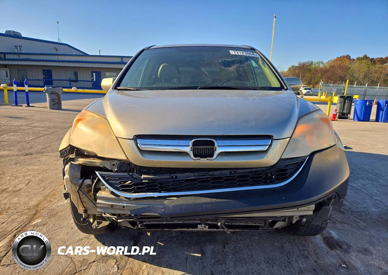 2008 Honda Cr-V Exl VIN:JHLRE38798C053904 - 5