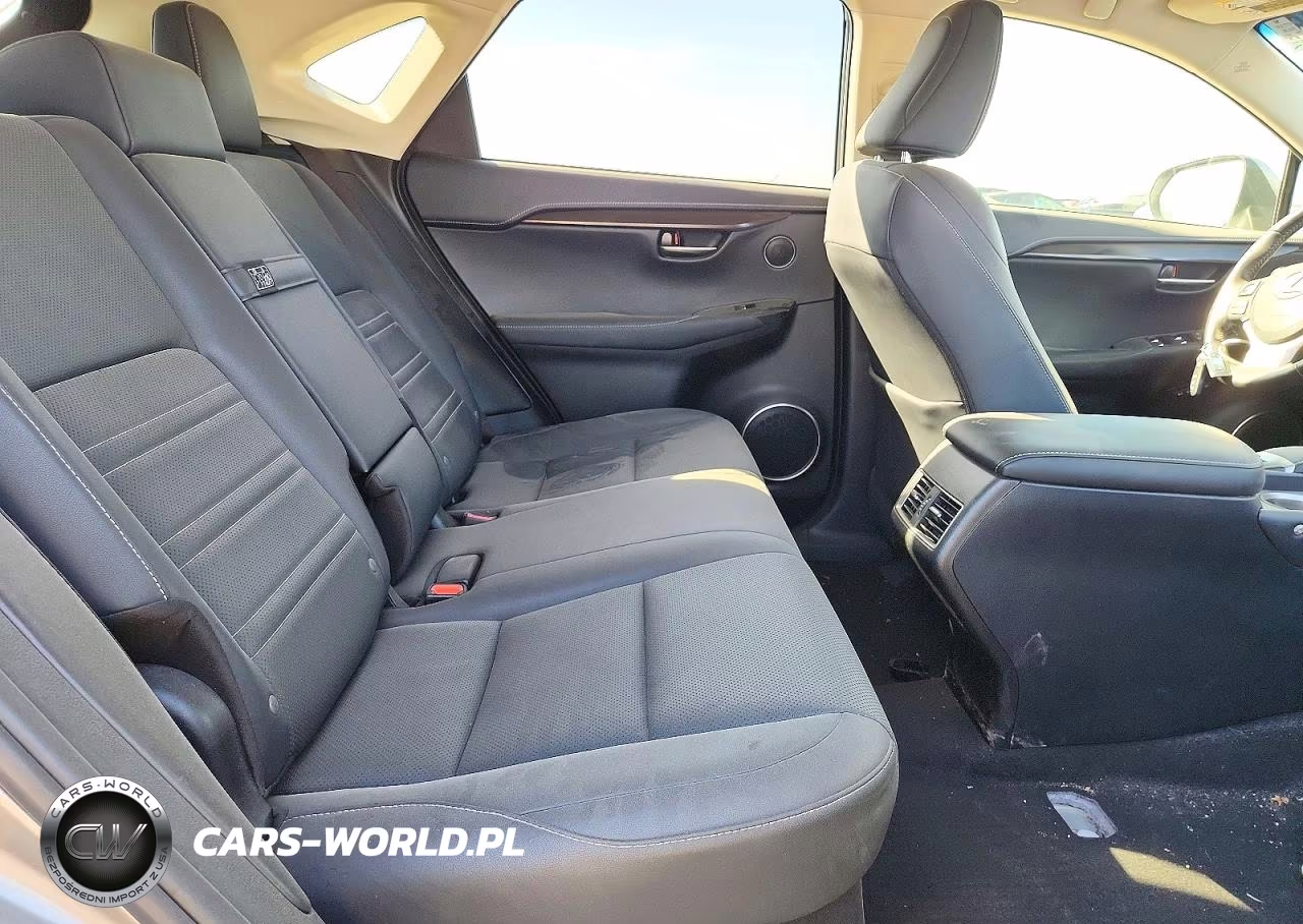 2018 Lexus Nx 300H VIN:JTJBJRBZ9J2095151 - 10