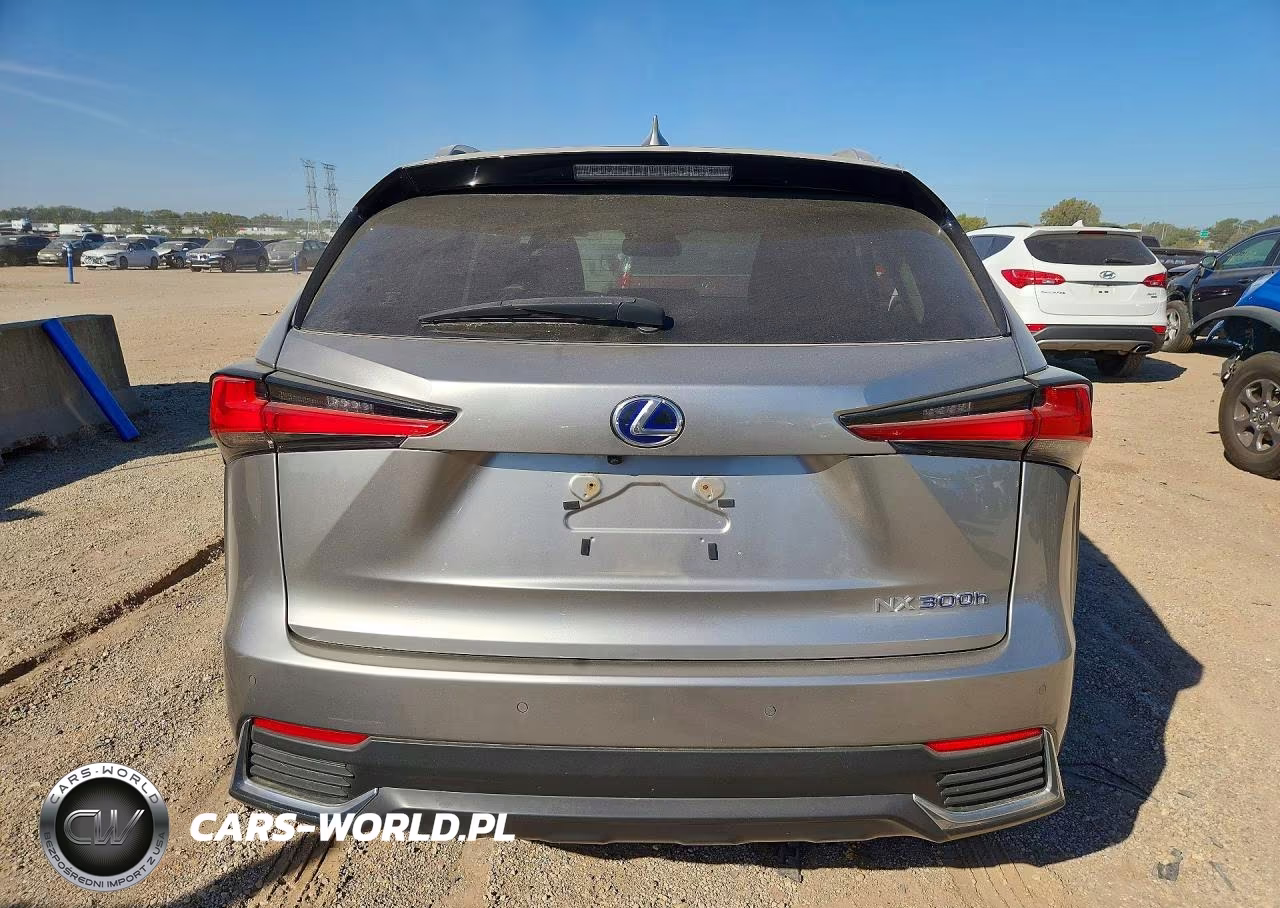 2018 Lexus Nx 300H VIN:JTJBJRBZ9J2095151 - 6