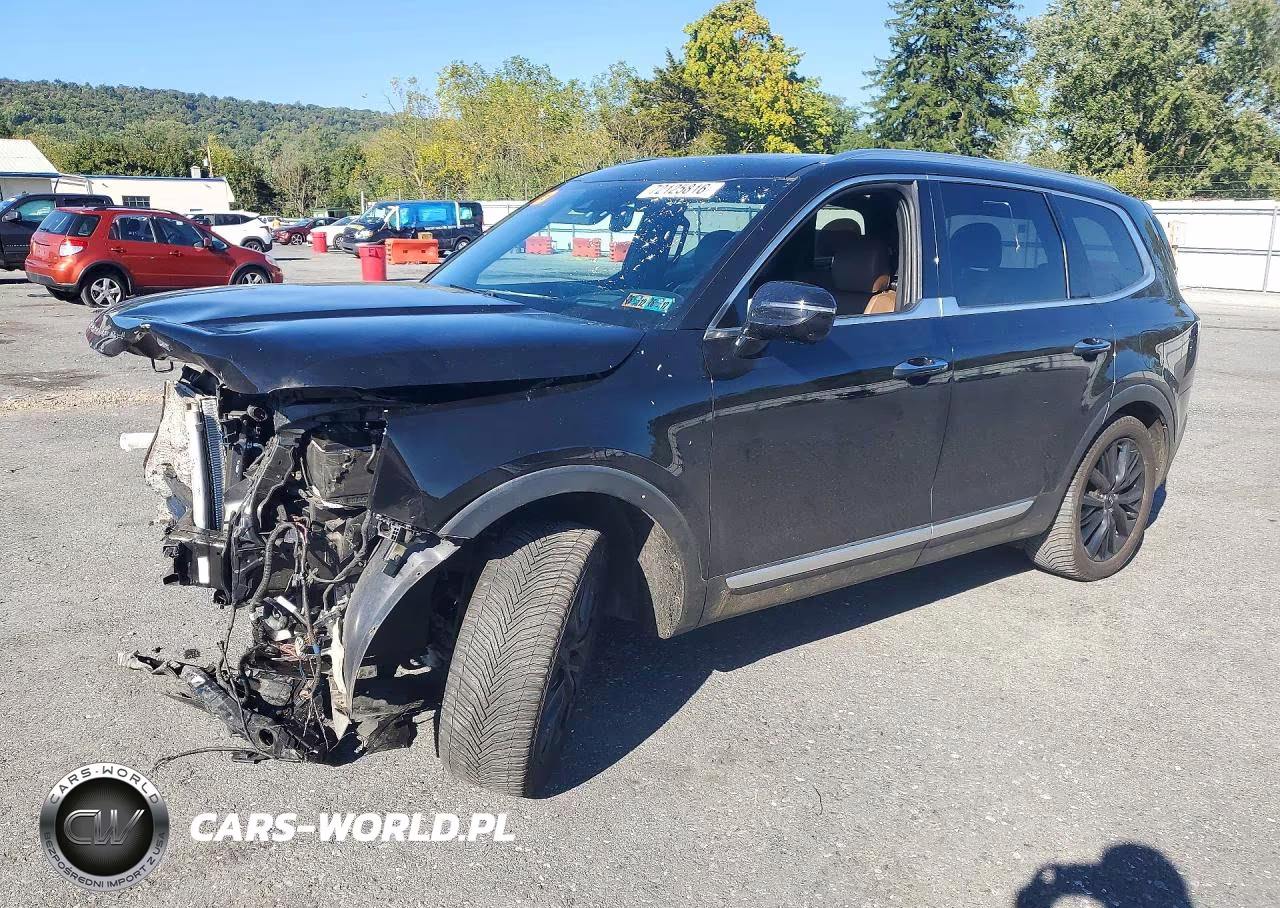 2020 Kia Telluride Sx VIN:5XYP5DHC3LG090295 - 1