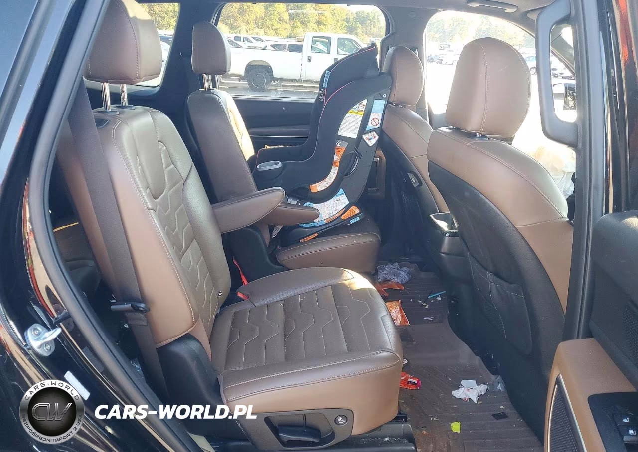 2020 Kia Telluride Sx VIN:5XYP5DHC3LG090295 - 11