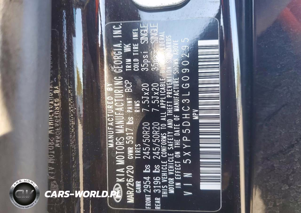 2020 Kia Telluride Sx VIN:5XYP5DHC3LG090295 - 13