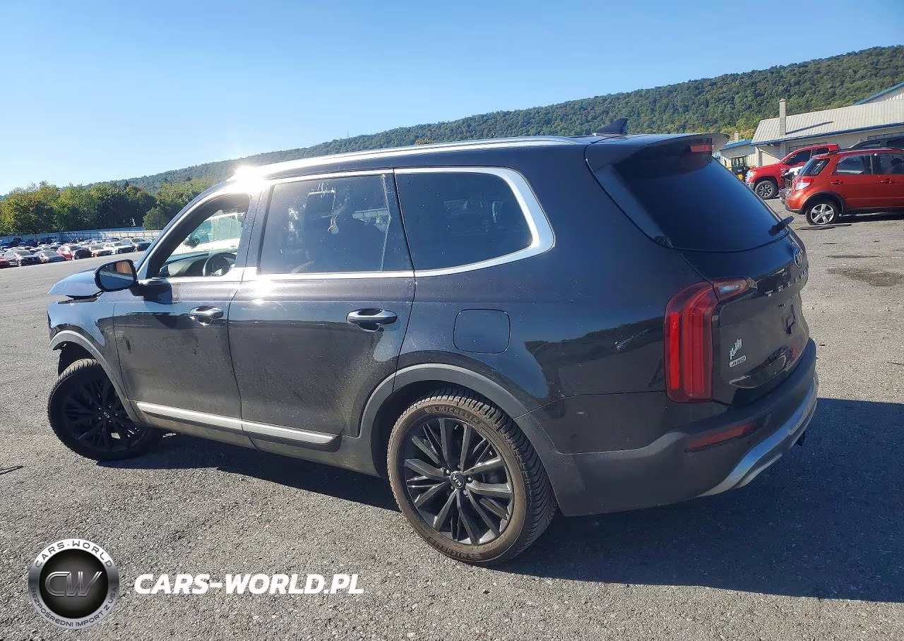 2020 Kia Telluride Sx VIN:5XYP5DHC3LG090295 - 2