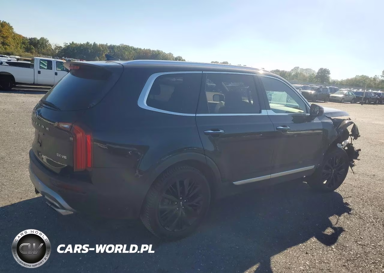 2020 Kia Telluride Sx VIN:5XYP5DHC3LG090295 - 3