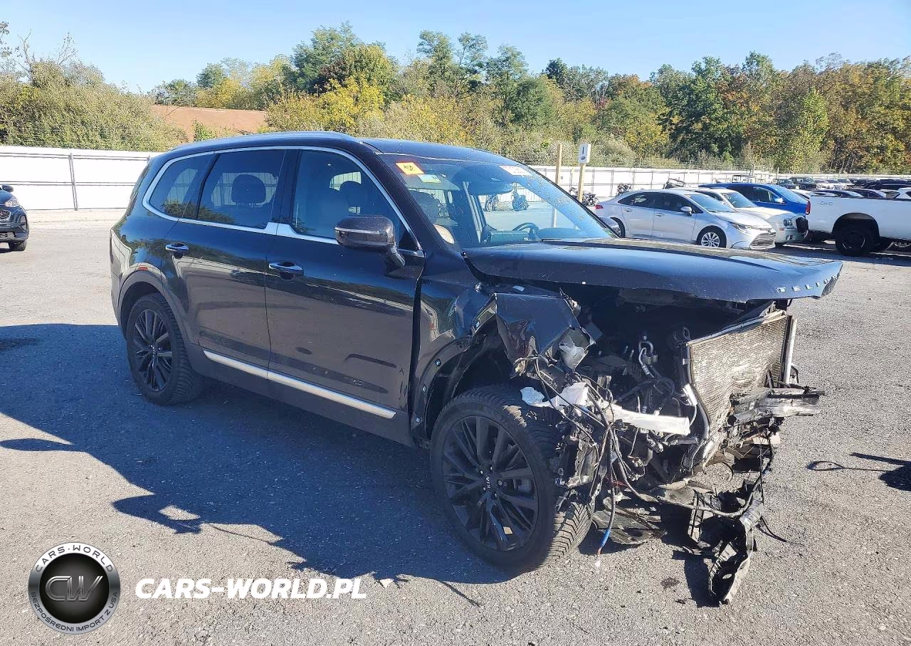 2020 Kia Telluride Sx VIN:5XYP5DHC3LG090295 - 4