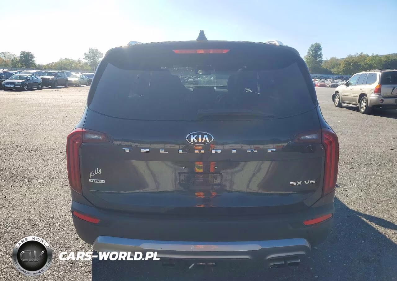 2020 Kia Telluride Sx VIN:5XYP5DHC3LG090295 - 6