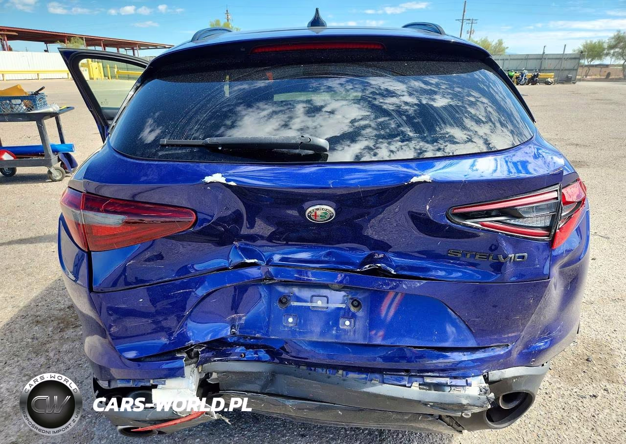 2021 Alfa Romeo Stelvio Sport VIN:ZASPAJAN7M7D02773 - 6