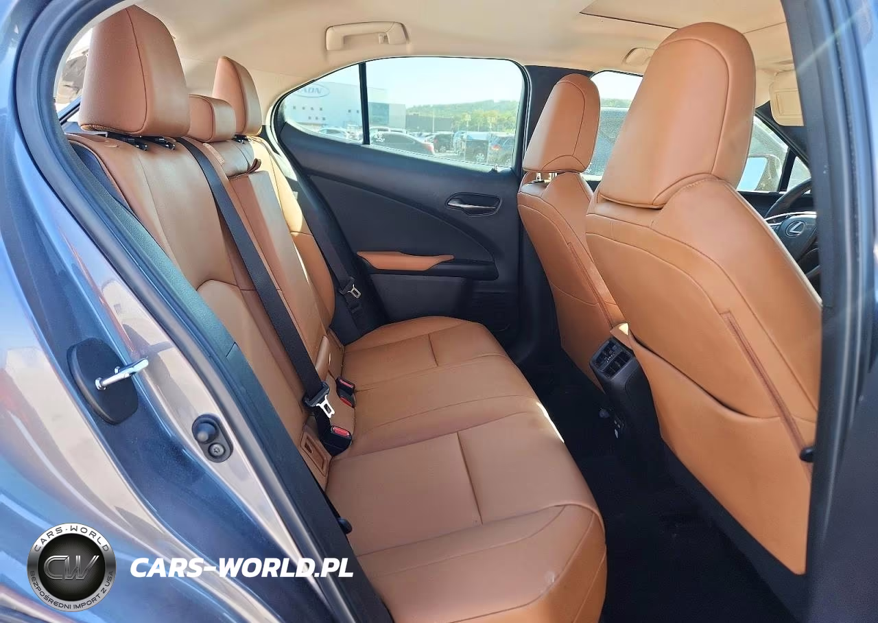 2021 Lexus Ux 200 VIN:JTHP3JBH3M2038961 - 10