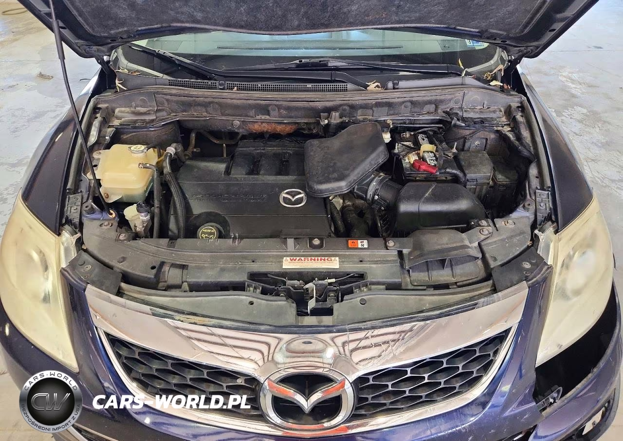 2010 Mazda Cx-9 VIN:JM3TB2MA9A0210966 - 12