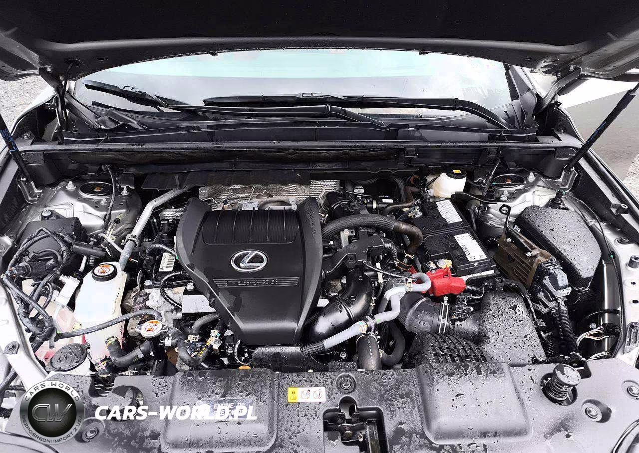 2025 Lexus Nx 350 F Sport Handling VIN:2T2KGCEZ7SC089292 - 12