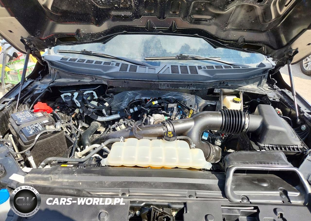 2025 Ford F-150 Stx VIN:1FTEW2KP7SKD84392 - 11