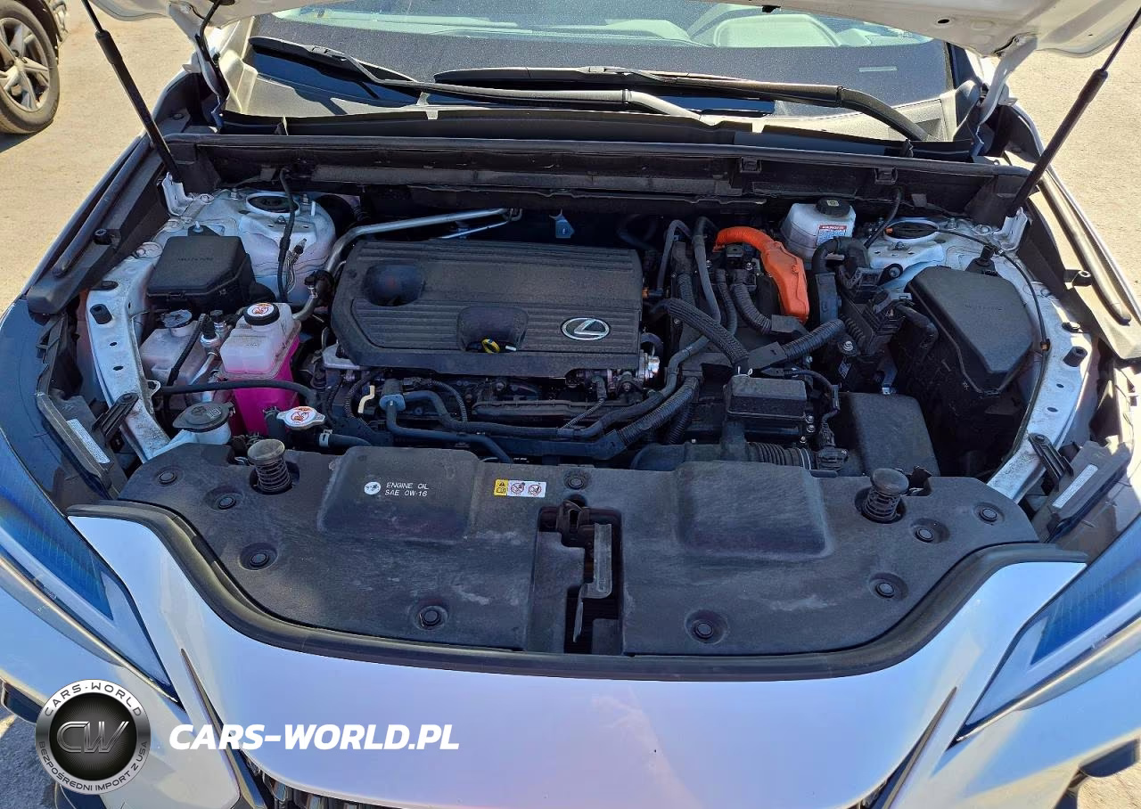 2022 Lexus Nx 350H VIN:JTJGKCEZ3N5004052 - 12