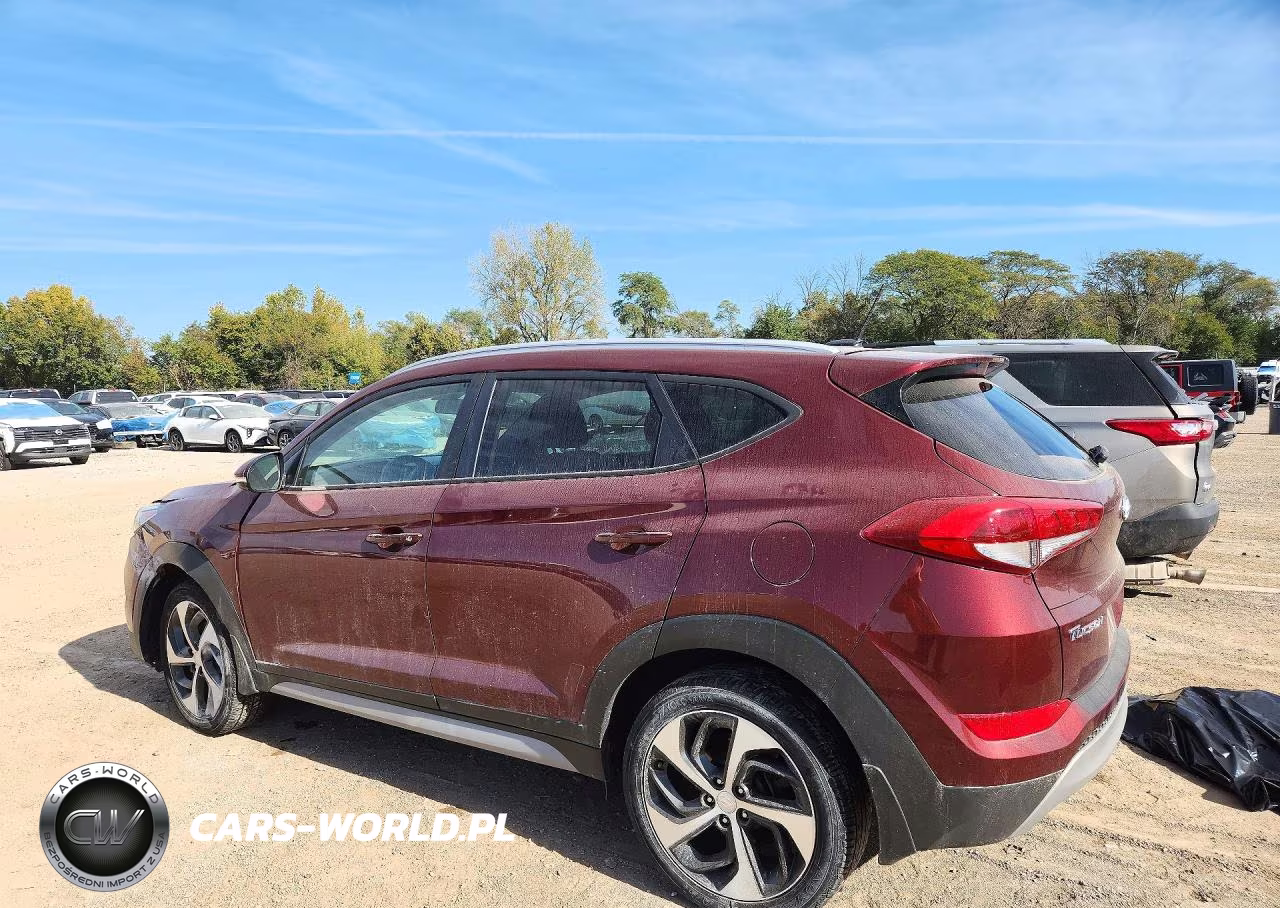2017 Hyundai Tucson Sport VIN:KM8J33A20HU381751 - 2