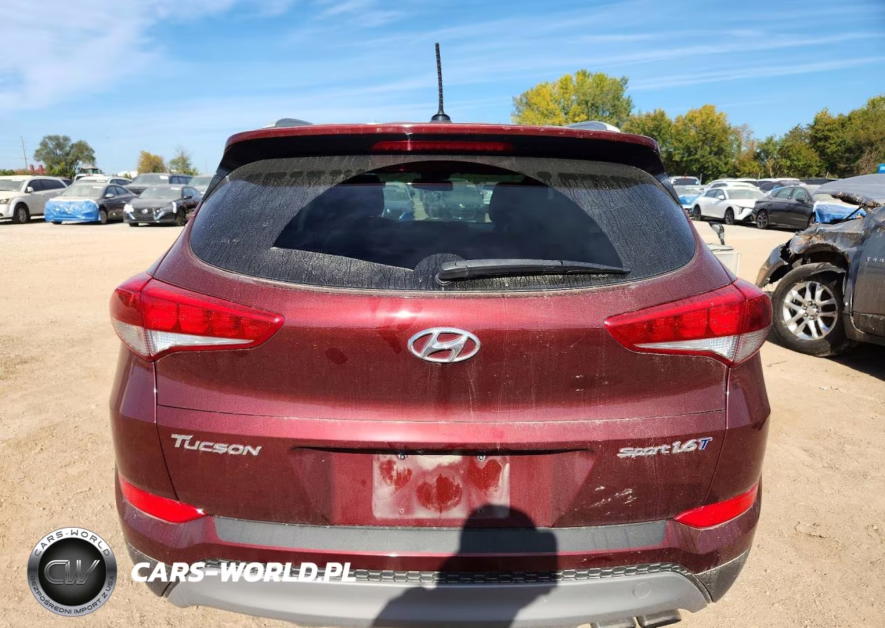2017 Hyundai Tucson Sport VIN:KM8J33A20HU381751 - 6